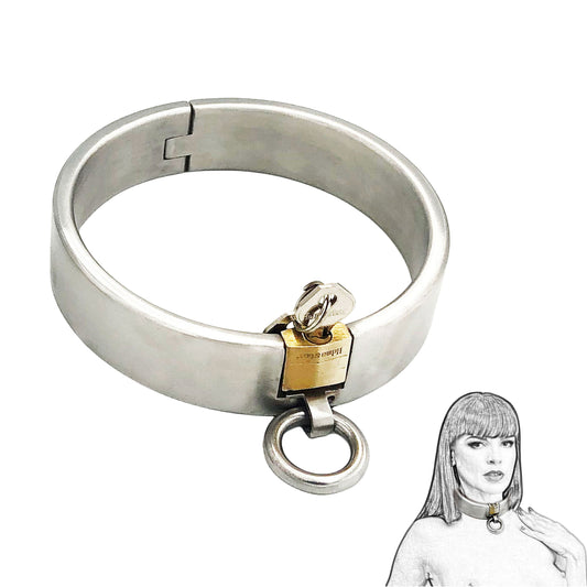 Professional Stainless Steel Locking Collars for BDSM Practitioners