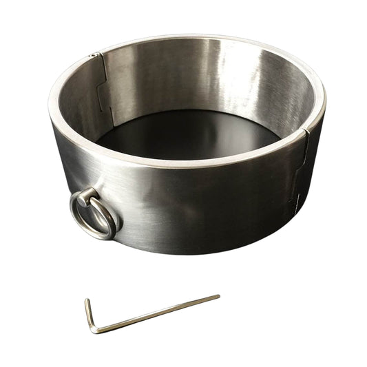 High-Quality Stainless Steel Screw Lock Neck Collar for BDSM Punishment