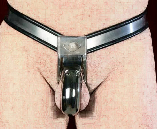 High-Quality Stainless Steel Y-Type Male Chastity Device with Lock