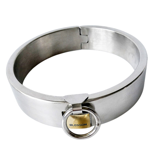 High-Quality Stainless Steel Neck Collar for BDSM Play