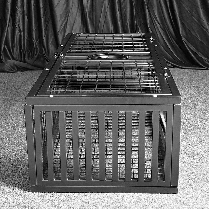 bdsm metal punishment standing cage